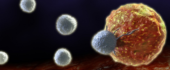 t-cells-are-crucial-to-the-human-immune-system