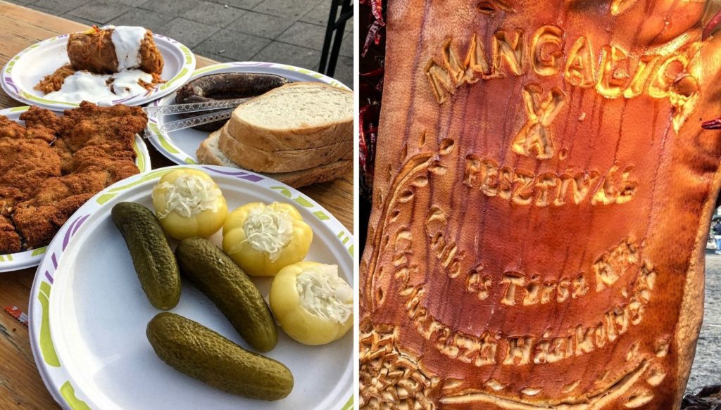 Hal vagy mangalica…? Fesztiválon jártunk! (I.)