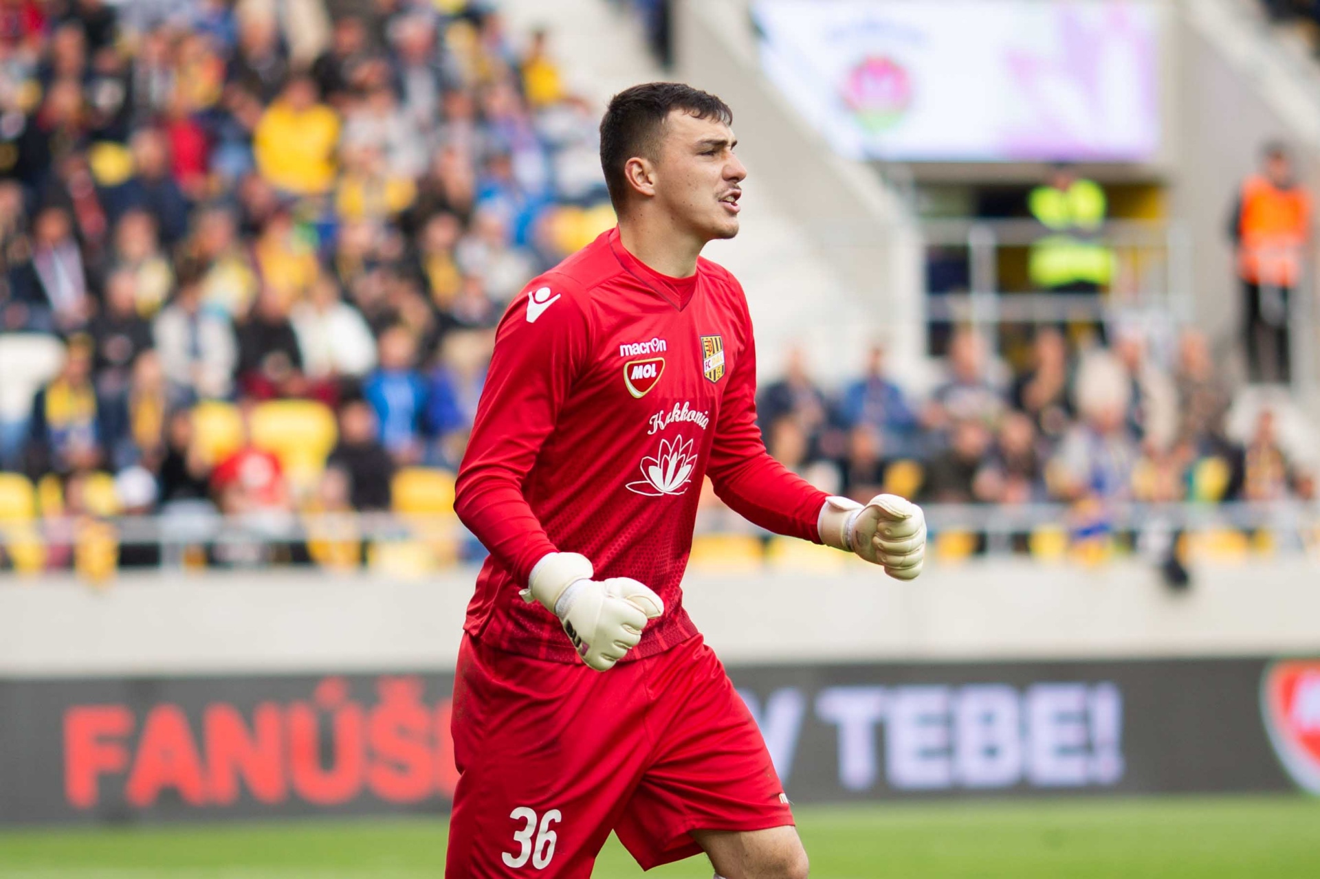 A SzerdaHelyzet nyilatkozik a DAC–Slovan (1:0) mérkőzésről