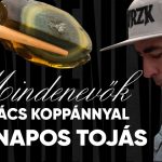 Mindenevők