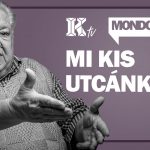 Szputnyik V,koronavírus elleni oltás,Koronavírus