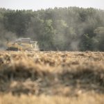 Varga Tamás,Vikkendhouse,Zene