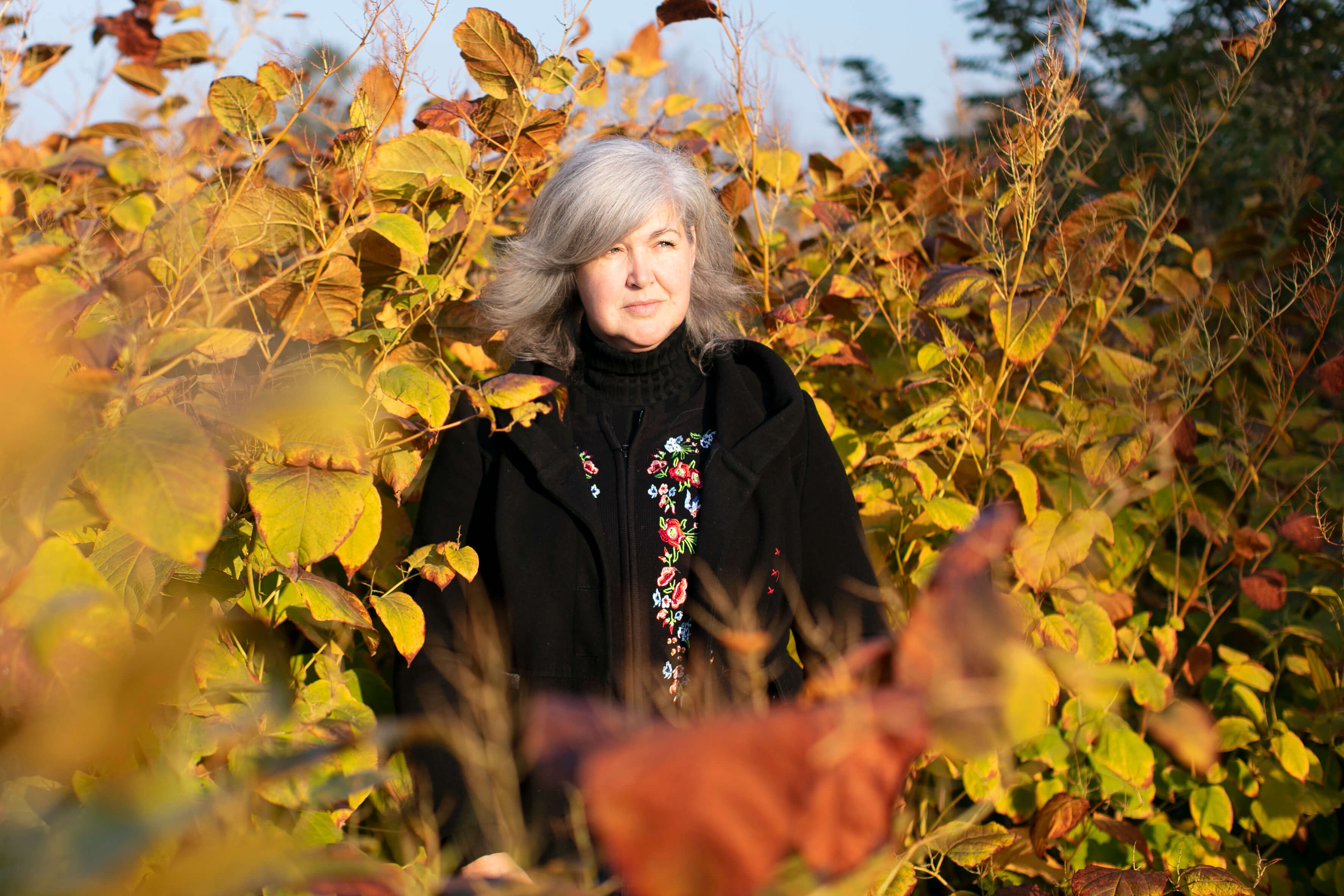 Boros Volner Erika,Vikkendhouse,Zene