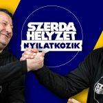 Csiba Dávid,Vikkendhouse