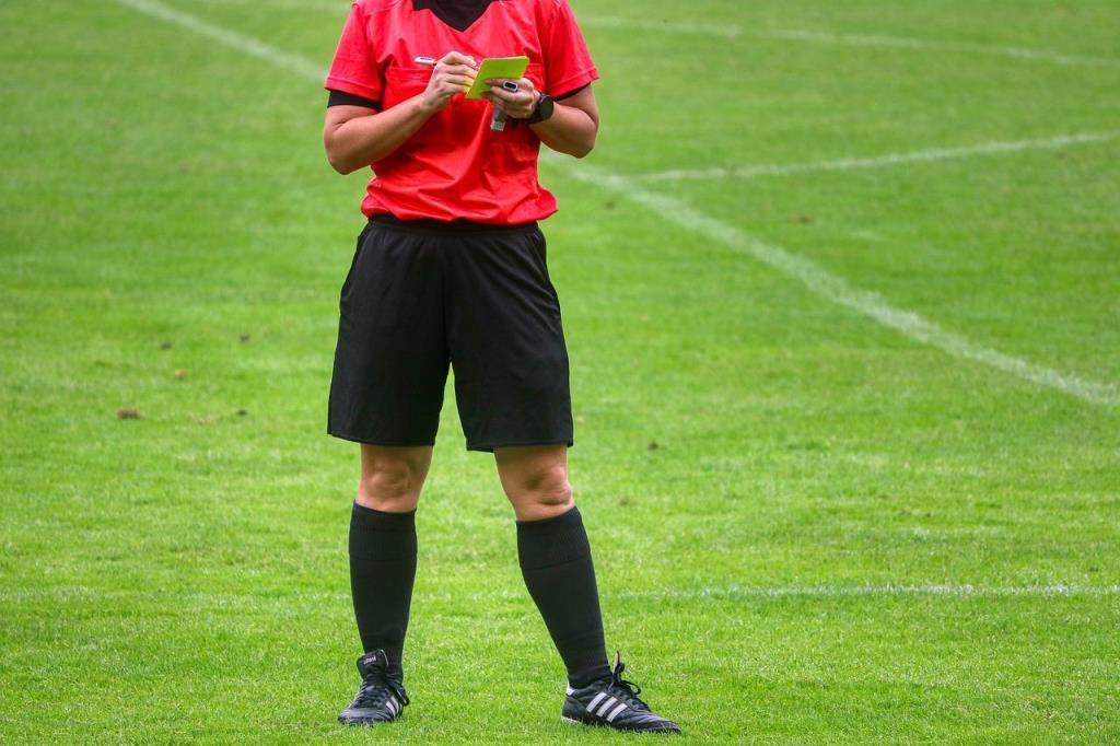 Foci,Játékvezető,Labdarúgás,Ankét,Zénidőm