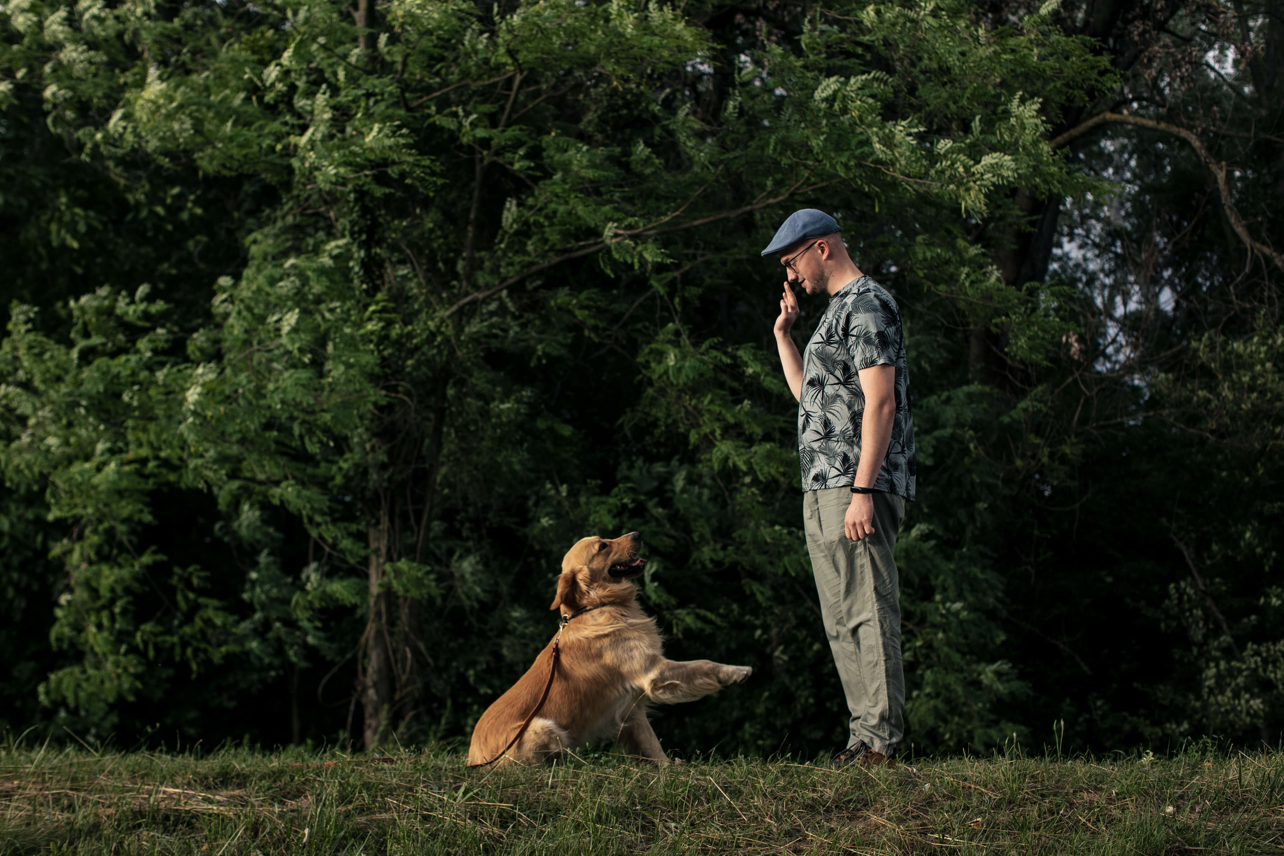 Kürthy Béla,Vikkendhouse,Zene