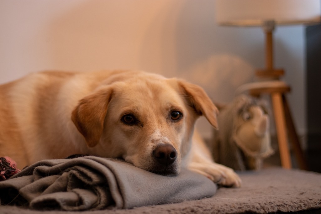 Klikk Out,Előzetes,November