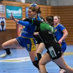 Kisebbségi magyarság,Vers,Irodalom,Kovács Andrea,Költőtoll