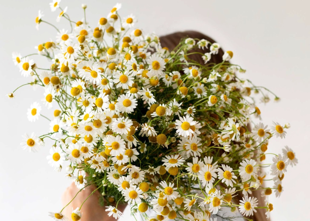 Klikk Out,Előzetes,2023,Április