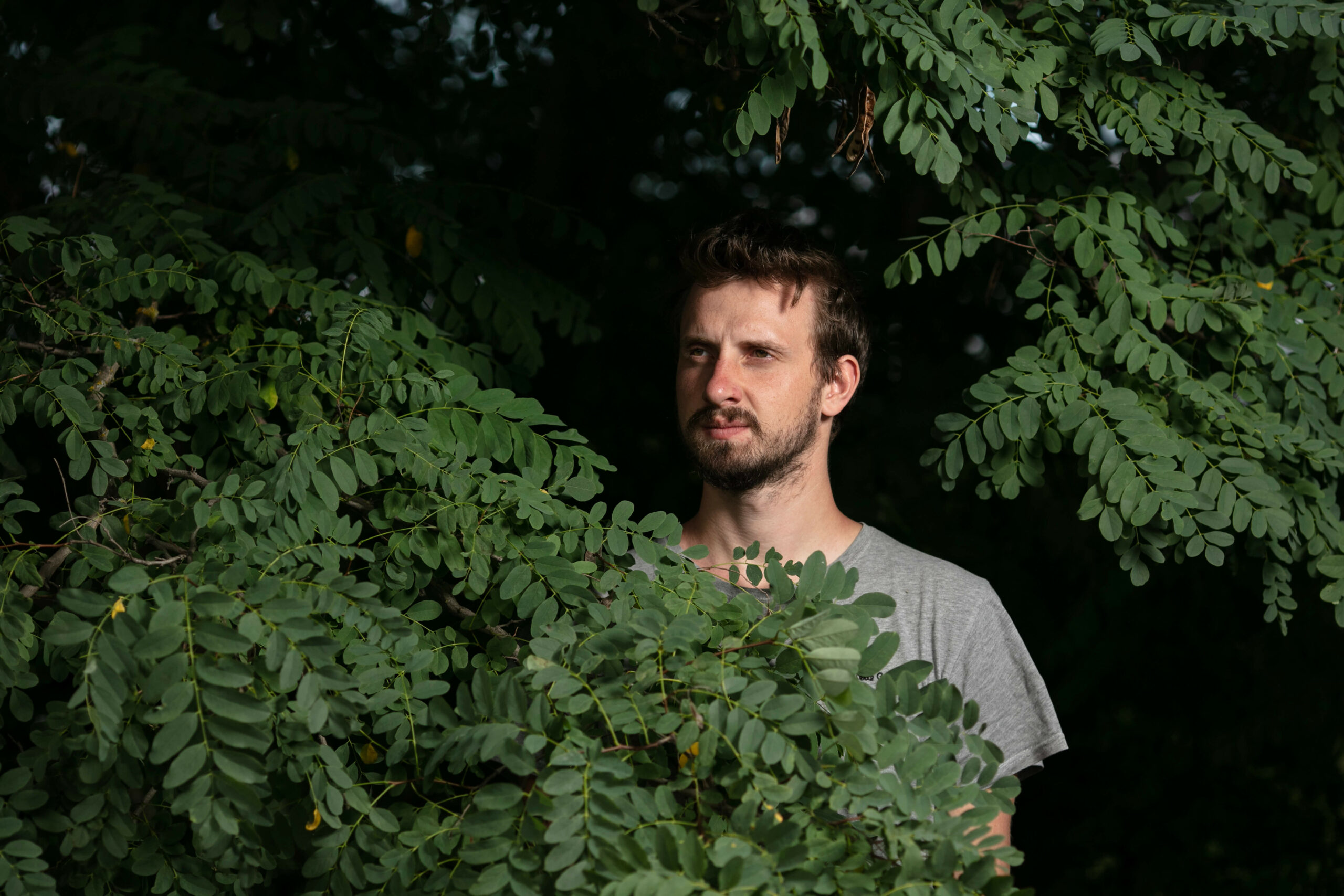 Baráth Lászlo,gomoly,Babadara,Vikkendhouse,Zene