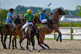 N2023-07-01_0971Polo