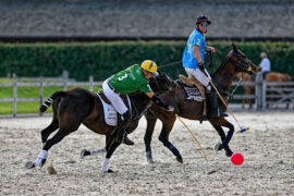 N2023-07-01_1324Polo