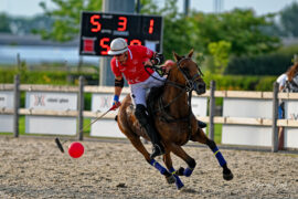 N2023-07-01_2046Polo