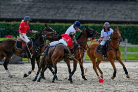 N2023-07-01_2325Polo