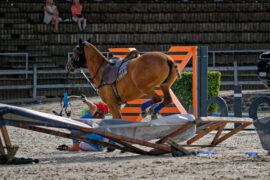 N2023-07-01_2552Polo