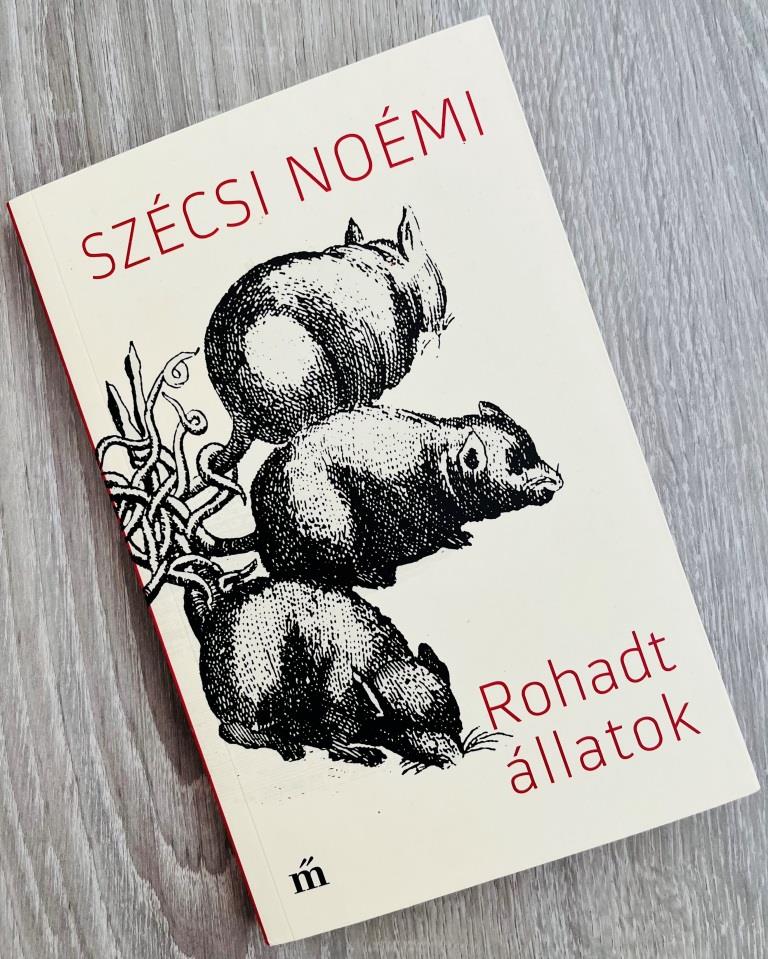 Klikk Out,Előzetes,2023,November