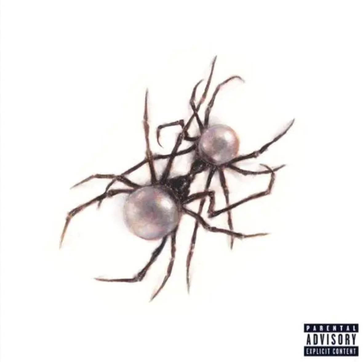 Hangfal,Uj album,Doja Cat,Zene,Scarlet