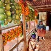 Dél-Afrikai Köztársaság,Dél-Afrika,Utazás,Gasztro