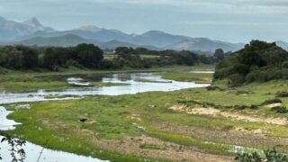 Dél-Afrikai Köztársaság,Dél-Afrika,Utazás,Gasztro