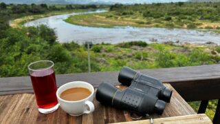 Dél-Afrikai Köztársaság,Dél-Afrika,Utazás,Gasztro