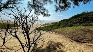 Dél-Afrikai Köztársaság,Dél-Afrika,Utazás,Gasztro