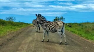 Dél-Afrikai Köztársaság,Dél-Afrika,Utazás,Gasztro