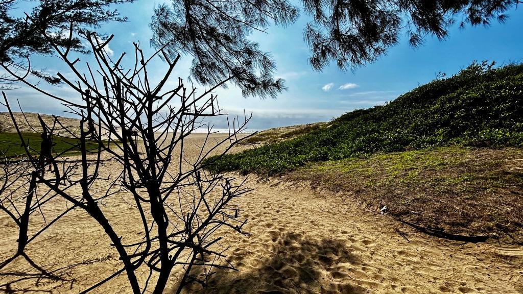 Dél-Afrikai Köztársaság,Dél-Afrika,Utazás,Gasztro