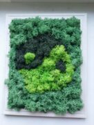 Ürögi Barbara,Havi kreatív,Hobbi,Moha