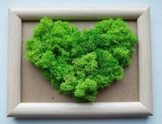 Ürögi Barbara,Havi kreatív,Hobbi,Moha