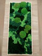 Ürögi Barbara,Havi kreatív,Hobbi,Moha