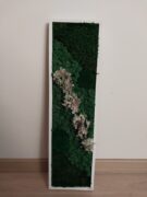 Ürögi Barbara,Havi kreatív,Hobbi,Moha