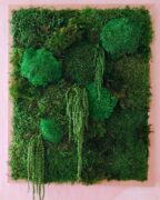 Ürögi Barbara,Havi kreatív,Hobbi,Moha