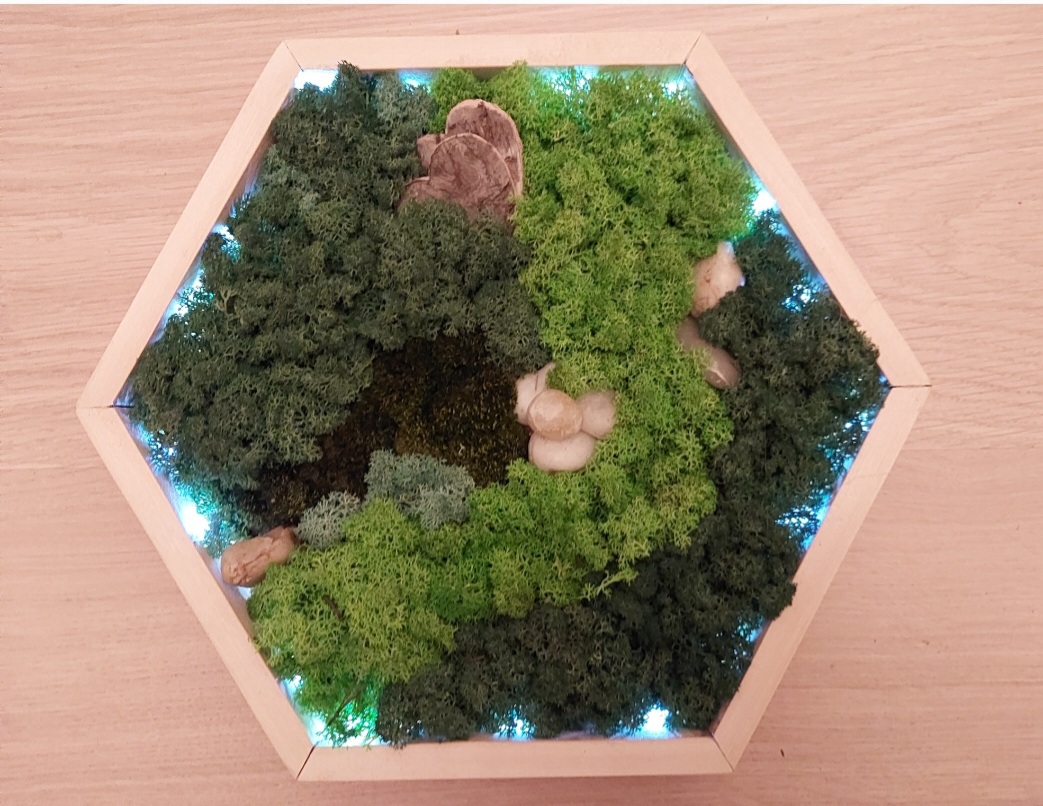 Ürögi Barbara,Havi kreatív,Hobbi,Moha