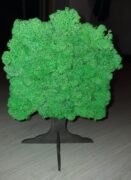 Ürögi Barbara,Havi kreatív,Hobbi,Moha