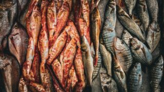 Gasztro,Gasztrobetyár,Utazás