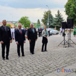 Havi kreatív,Cukorpalánták