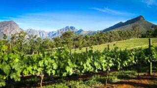 Dél-Afrikai Köztársaság,Utazás