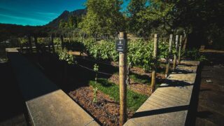 Dél-Afrikai Köztársaság,Utazás