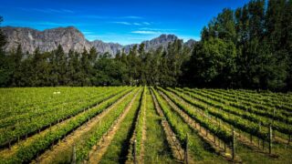 Dél-Afrikai Köztársaság,Utazás