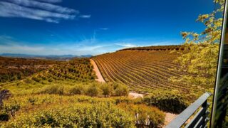 Dél-Afrikai Köztársaság,Utazás