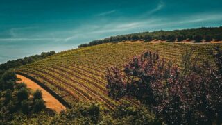 Dél-Afrikai Köztársaság,Utazás