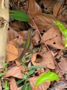 20241112_130758 Extrem Travel