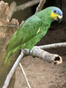 20241112_131926 Extrem Travel