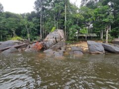 20241113_132141 Extrem Travel