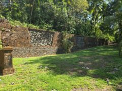 20241119_092027 Extrem Travel