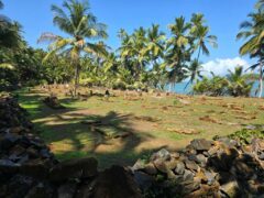 20241119_100353 Extrem Travel