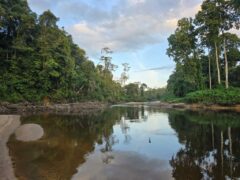 20250115_181614 Extrem Travel