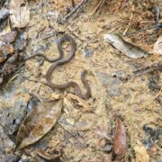 20250121_114646 Extrem Travel