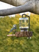 Szabó Gyula,Nádszeg,Havi kreatív