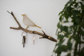 Szabó Gyula,Nádszeg,Havi kreatív